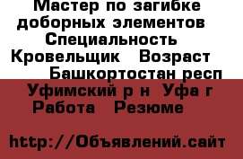 Мастер по загибке доборных элементов › Специальность ­ Кровельщик › Возраст ­ -26 - Башкортостан респ., Уфимский р-н, Уфа г. Работа » Резюме   